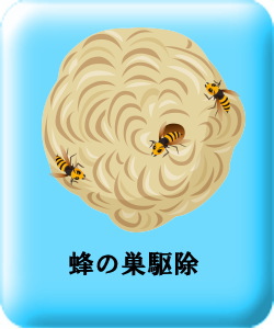 蜂の巣駆除